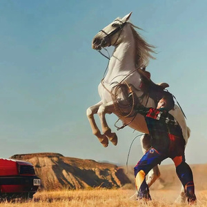 天天爽免费视频
