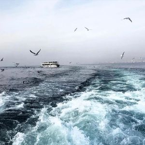 天天爽免费视频
