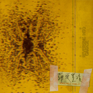 天天爽免费视频
